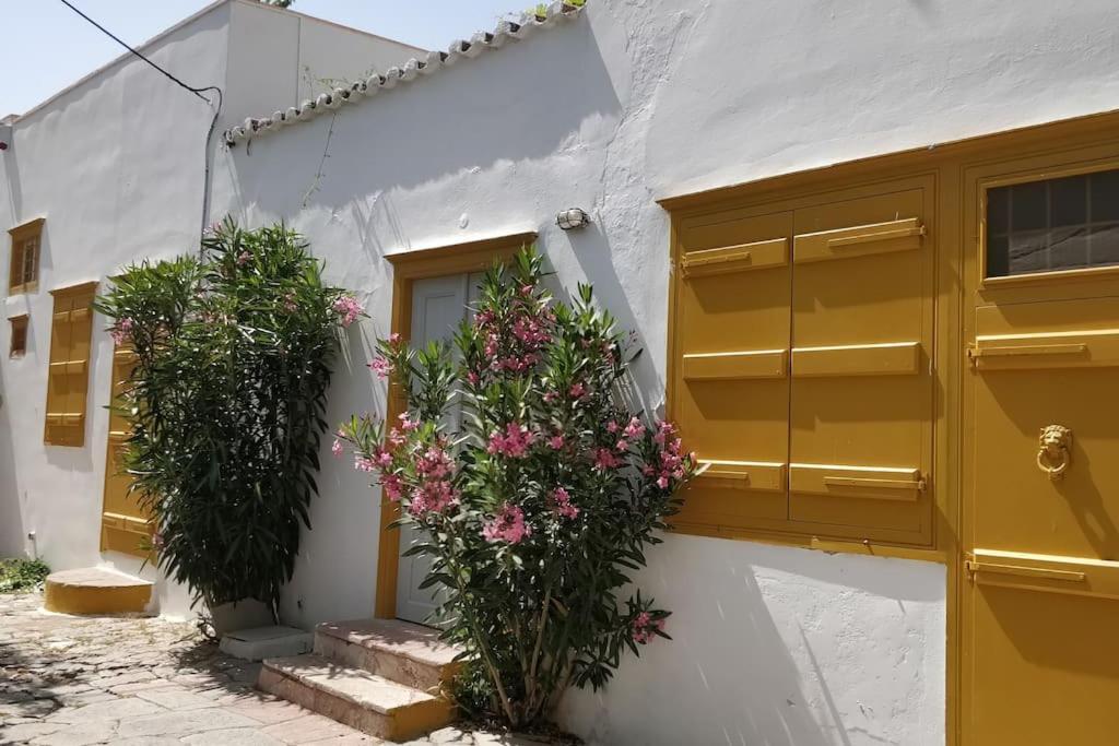 Braxos A Beautiful Rocky Place Hydra  Luaran gambar